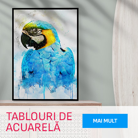 Tablouri de Acuarelă