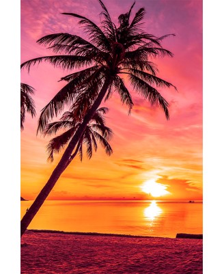 Tahitian Sunset