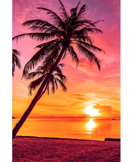Tahitian Sunset