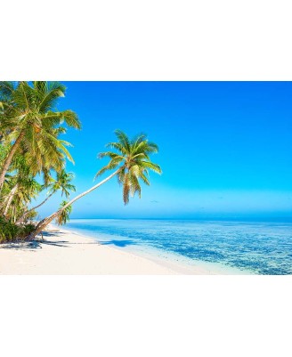Maldives Beach