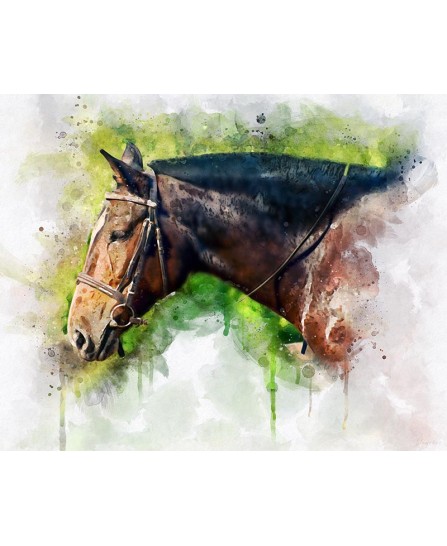 Brown horse - watercolor painting Brown horse - watercolor painting