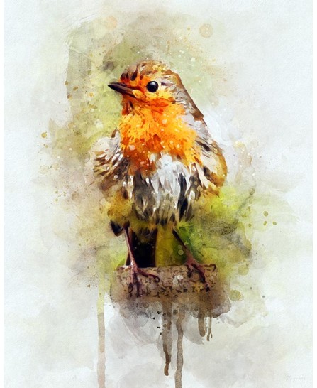 Colorful wild bird - watercolor painting