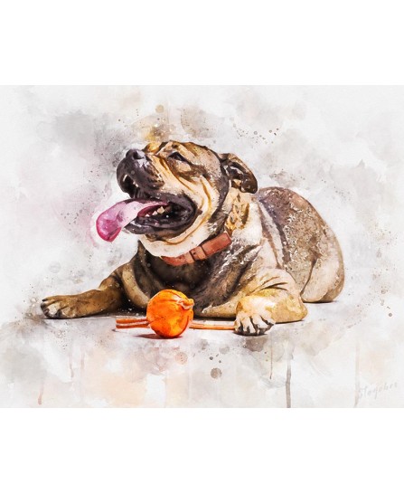 French bulldog - watercolor painting