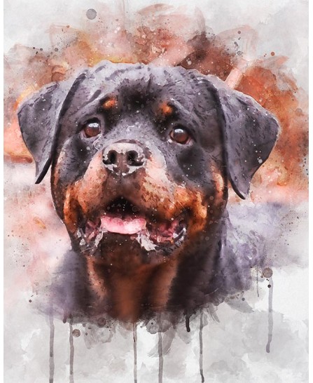 Câine Rottweiler - pictură în acuarelă Câine Rottweiler - pictură în acuarelă