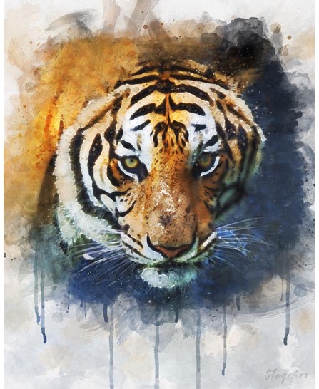 Siberian tiger - watercolor painting