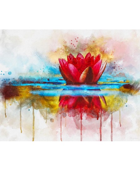 Water lily - watercolor painting Water lily - watercolor painting