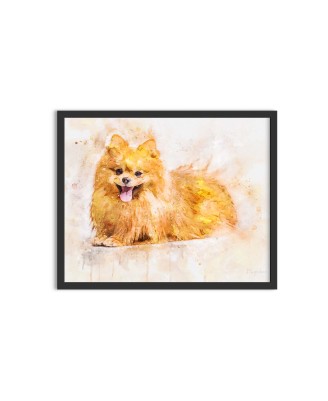 Câine Pomeranian - pictură în acuarelă Câine Pomeranian - pictură în acuarelă