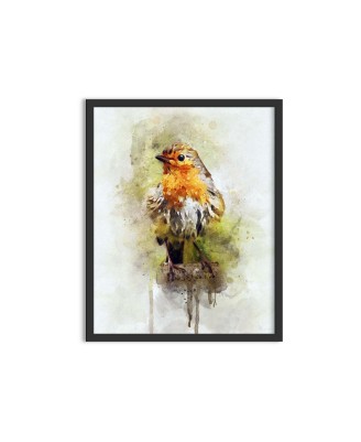 Colorful wild bird - watercolor painting Colorful wild bird - watercolor painting