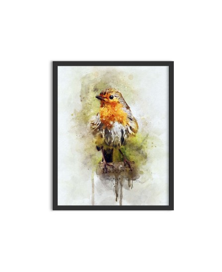 Colorful wild bird - watercolor painting