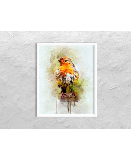 Colorful wild bird - watercolor painting
