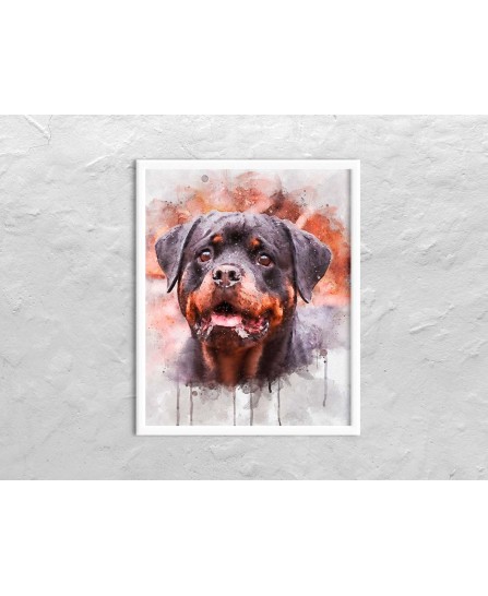 Câine Rottweiler - pictură în acuarelă Câine Rottweiler - pictură în acuarelă