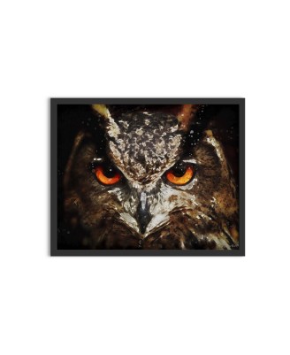 The eyes of an owl - watercolor painting