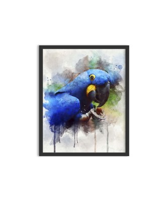 Blauaras Ara parrot - watercolor painting Blauaras Ara parrot - watercolor painting