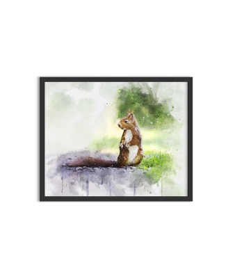Squirrel - watercolor painting