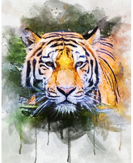 Тiger - watercolor painting Тiger - watercolor painting