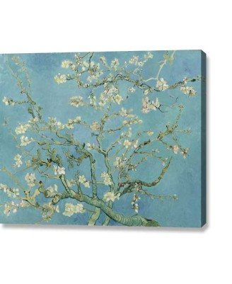 Van Gogh - Almond Blossom (canvas print)