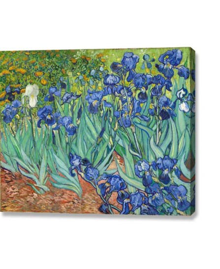 Van Gogh - Irises (canvas print)