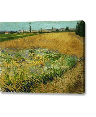 Van Gogh - Wheatfield (canvas print)