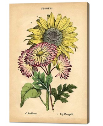 Flowers - vintage graphic (canvas print) Flowers - vintage graphic (canvas print)