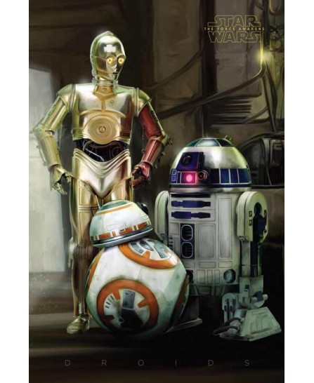 Star Wars - Droids (61x91,5cm) Star Wars - Droids (61x91,5cm)