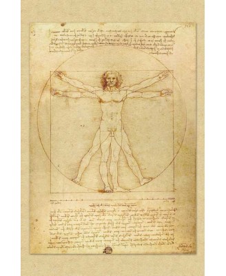 Leonardo Da Vinchi - Vetruvian Man