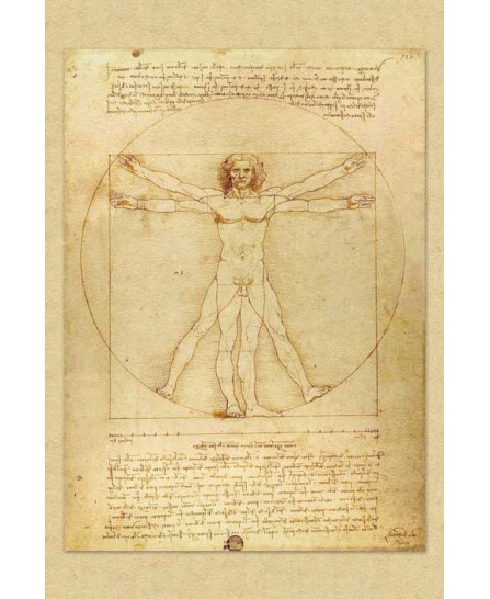 Leonardo Da Vinchi - Vetruvian Man Leonardo Da Vinchi - Vetruvian Man