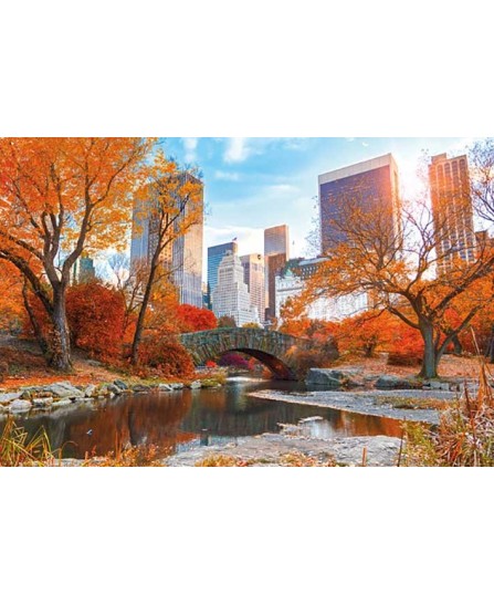 Ню Йорк - есен в Central Park Ню Йорк - есен в Central Park