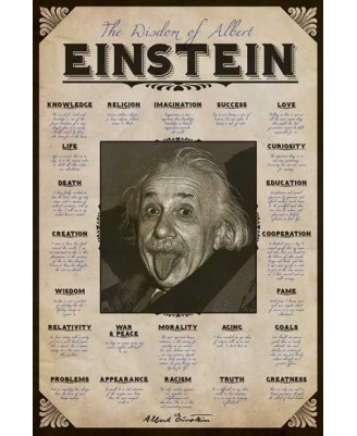 Albert Einstein (Quotes) Albert Einstein (Quotes)