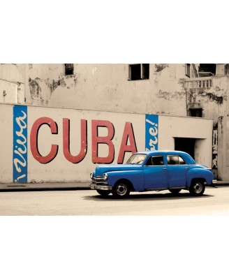 Viva Cuba Viva Cuba