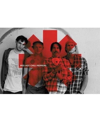 Red Hot Chili Peppers (Asterix)