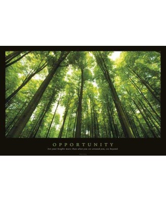Motivational Poster - Opportunity Motivational Poster - Opportunity