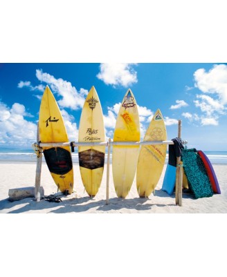 Sun, Sea & Surf