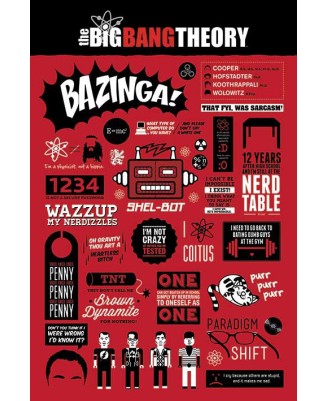 The Big Bang Theory (infographic)
