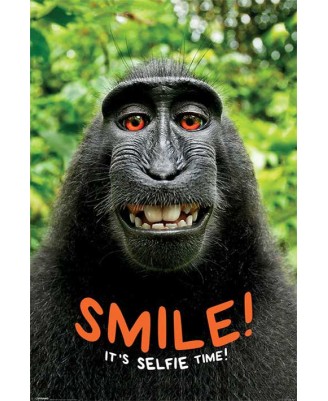 Chimpanzee Headphones