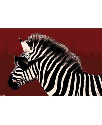 Troy The Zebra (It's A Wildlife)