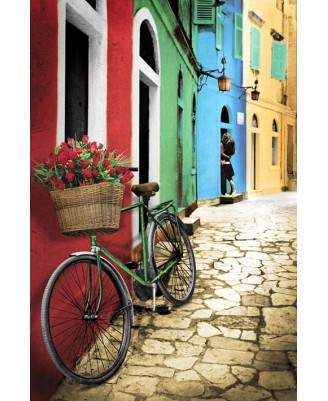 Bike & Flowers Colorful