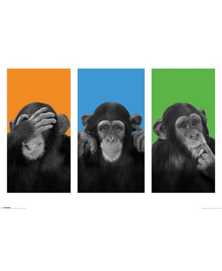Wildside (See No Evil, Hear No Evil, Speak No Evil) Wildside (See No Evil, Hear No Evil, Speak No Evil)