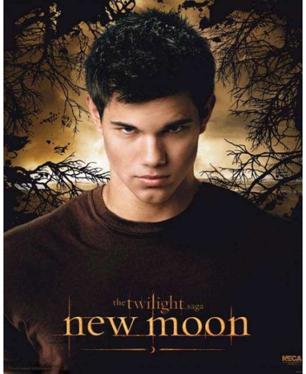 Twilight New Moon - Jacob