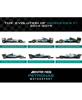 Mercedes AMG F1 2014-2019