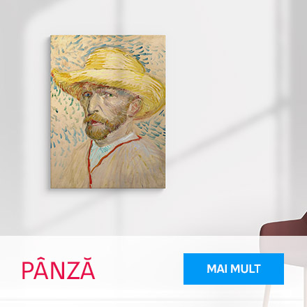 Pânză
